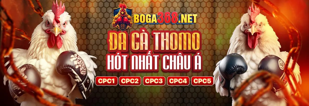 Đá Gà Trực Tuyến Tin99 2026
