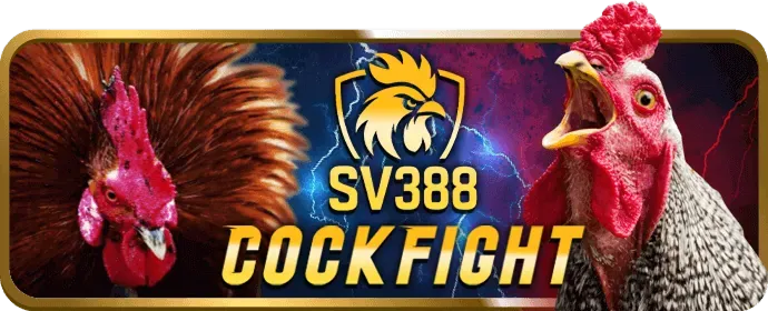 Bảo mật Tin99